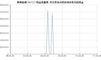 美锦能源 000723 支付其他与投资活动有关的现金