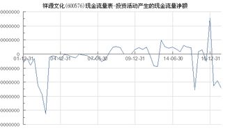 祥源文化 600576 投资活动产生的现金流量净额