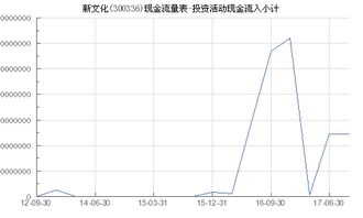 新文化 300336 投资活动现金流入小计